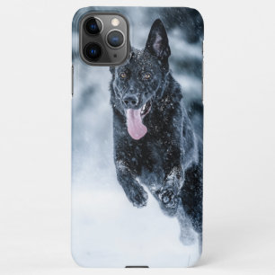 Schwarzer Schäfer im Schnee iPhone 11Pro Max Hülle