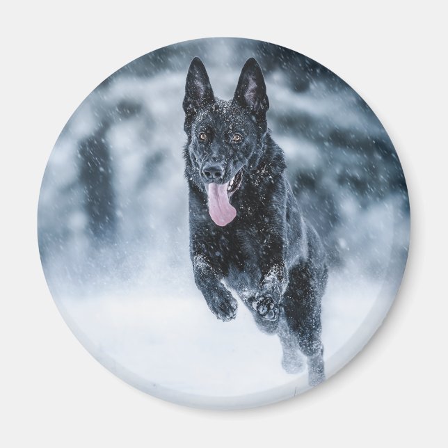 Schwarzer Schäfer im Schnee Magnet (Vorne)