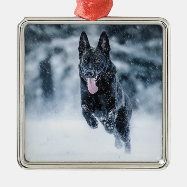 Schwarzer Schäfer im Schnee Ornament Aus Metall (Vorne)