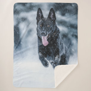 Schwarzer Schäfer im Schnee Sherpadecke