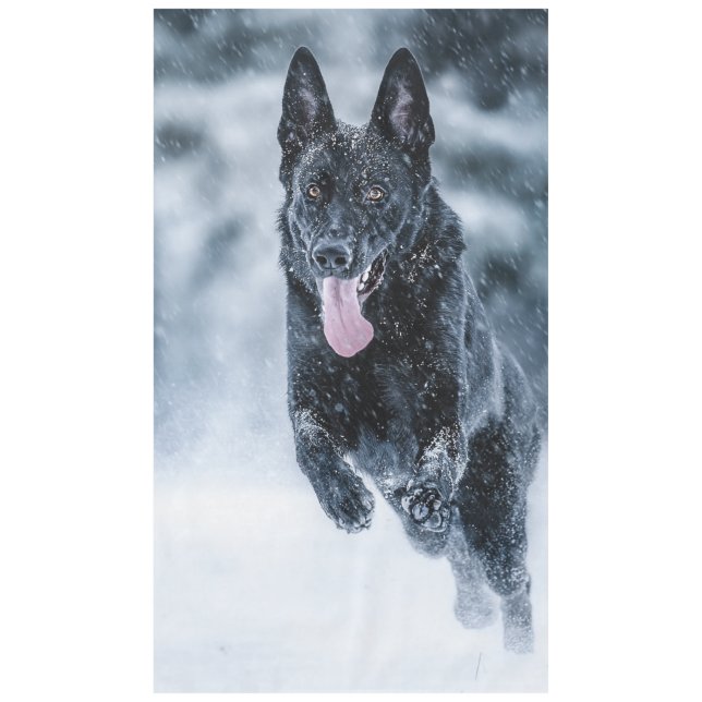 Schwarzer Schäfer im Schnee Tischdecke (Vorderseite)