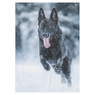 Schwarzer Schäfer im Schnee Tischdecke