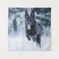 Schwarzer Schäfer im Schnee