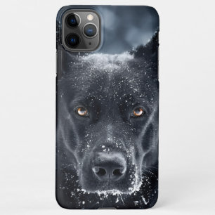 Schwarzer Schäfer iPhone 11Pro Max Hülle