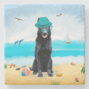 Schwarzer Schäferhund am Strand Steinuntersetzer