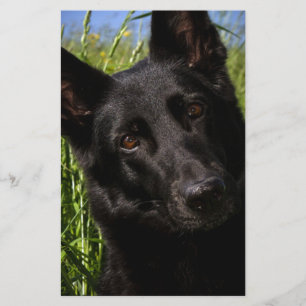 schwarzer Schäferhund Briefpapier