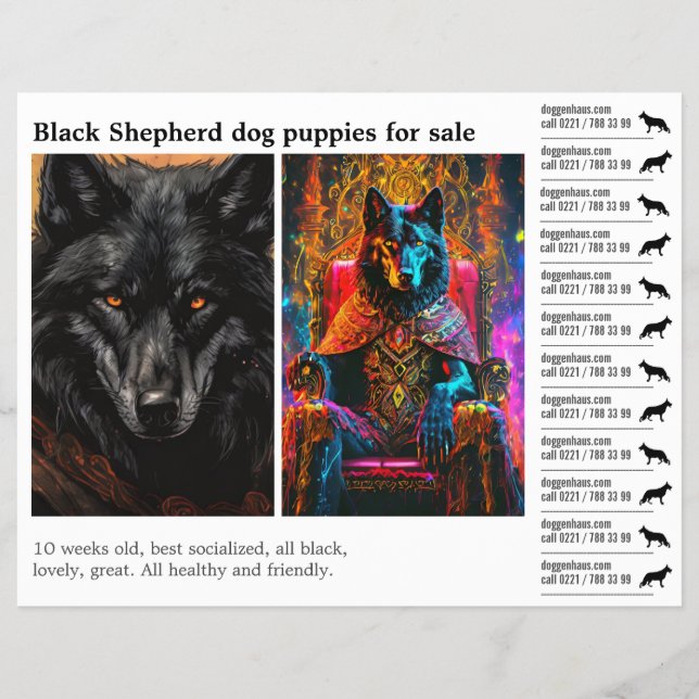 Schwarzer Schäferhund  Flyer (Vorne)