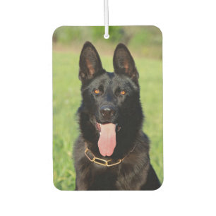 Schwarzer Schäferhund - GSD Puppy Autolufterfrischer