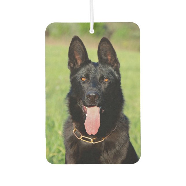 Schwarzer Schäferhund - GSD Puppy Autolufterfrischer (Vorderseite)