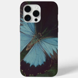 Schwarzer Schmetterling Case-Mate iPhone Hülle
