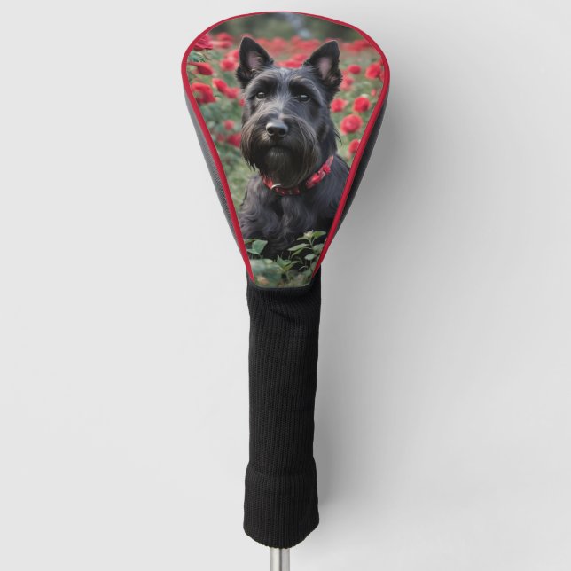 Schwarzer Schottischer Terrier in Rote Rosen, Golf Headcover (Vorderseite)