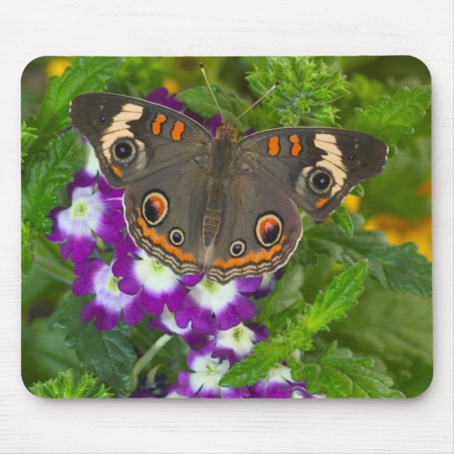 Schwarzer Schwalbenschwanz Mousepad (Vorne)