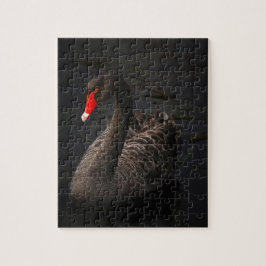 Schwarzer Schwan