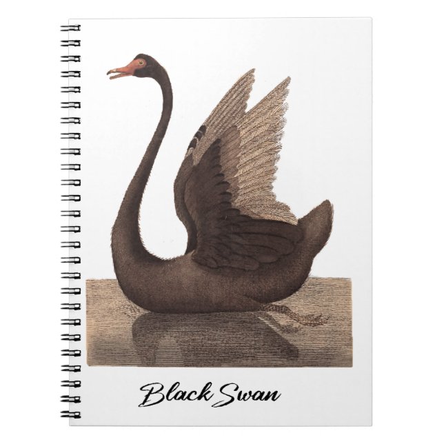 Schwarzer Schwan 1792 Notizblock (Vorderseite)