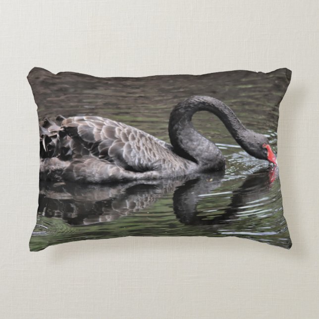 Schwarzer Schwan Dekokissen (Vorderseite)