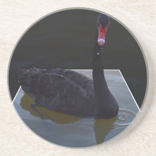 Schwarzer Schwan im Maßteich schwimmen, Untersetzer