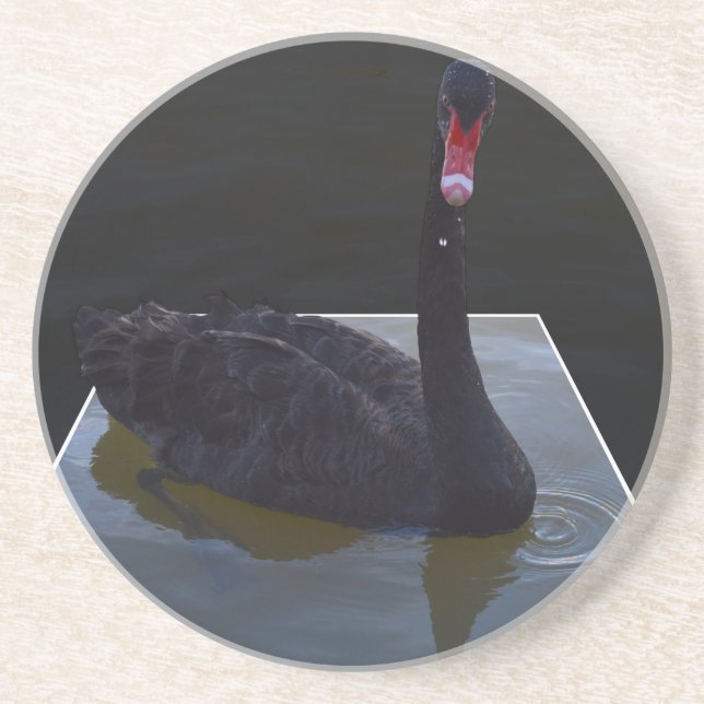 Schwarzer Schwan im Maßteich schwimmen, Untersetzer (Vorne)