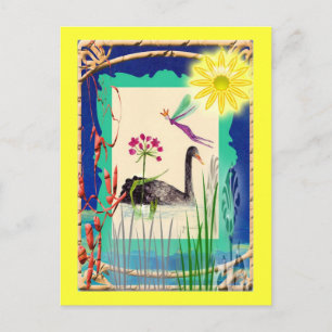 Schwarzer Schwan mit Sonne Postkarte