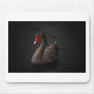 Schwarzer Schwan Mousepad