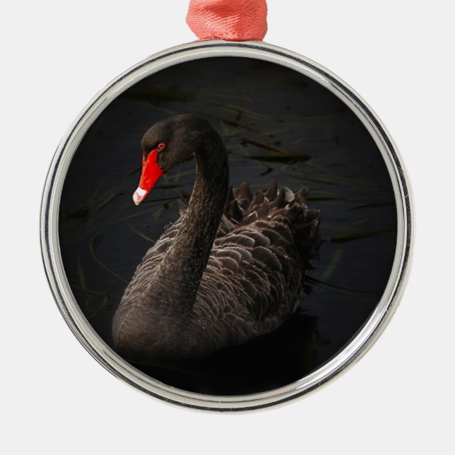 Schwarzer Schwan Ornament Aus Metall (Vorne)