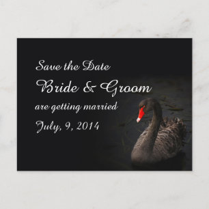 Schwarzer Schwan Save the Date Postkarte