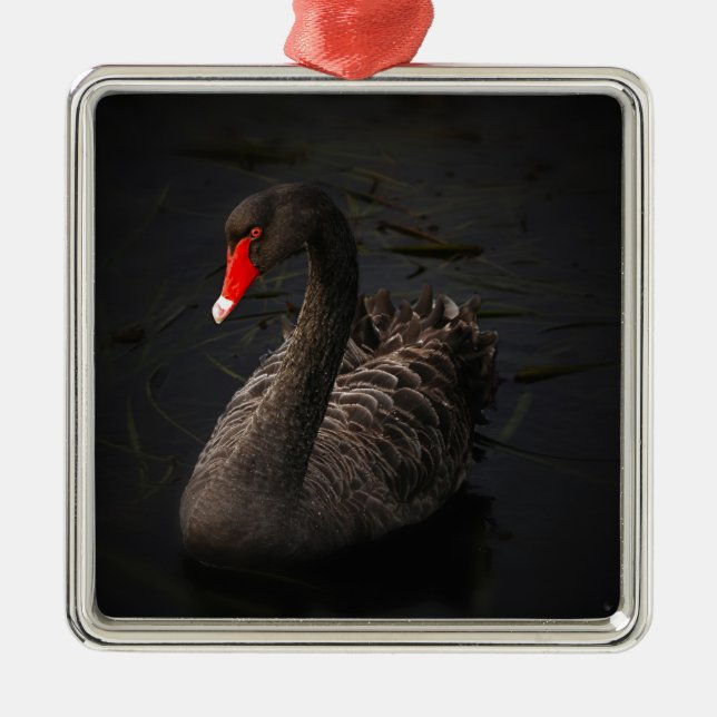 Schwarzer Schwan Silbernes Ornament (Vorne)