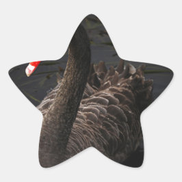 Schwarzer Schwan Stern-Aufkleber
