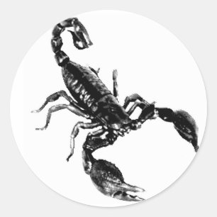 Schwarzer Skorpion auf weißem Aufkleber