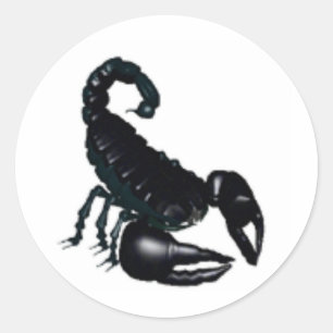 Schwarzer Skorpion Runder Aufkleber