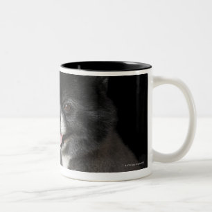 Schwarzer Spitz, der zu dem links schaut Zweifarbige Tasse