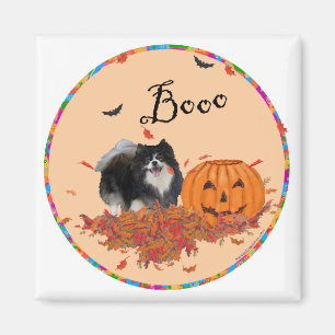 Schwarzer Spitz Halloween Magnet