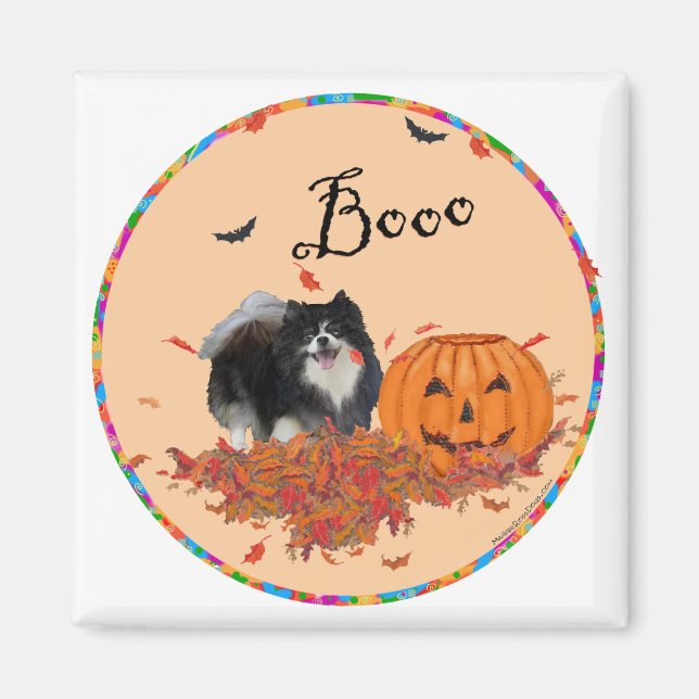 Schwarzer Spitz Halloween Magnet (Vorne)