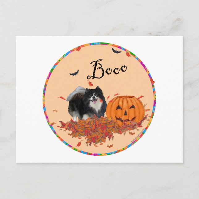 Schwarzer Spitz Halloween Postkarte (Vorderseite)