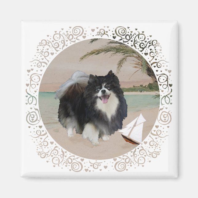 Schwarzer Spitz mit Sailboat Magnet (Vorne)