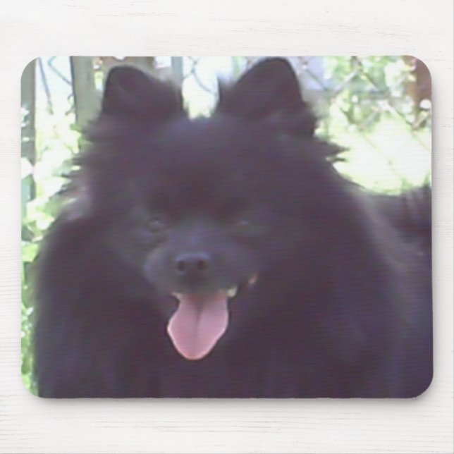 Schwarzer Spitz Mousepad (Vorne)