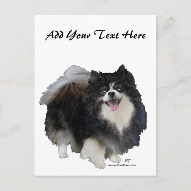 Schwarzer Spitz Postkarte (Vorderseite)