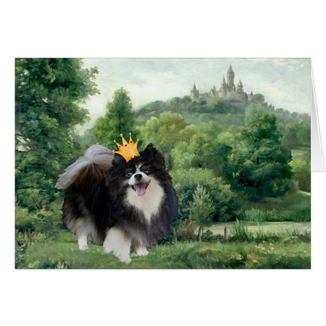 Schwarzer Spitz Prinz (Vorderseite (Horizontal))