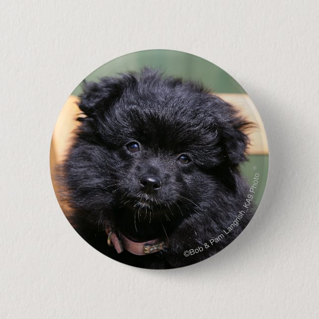 Schwarzer Spitz-Welpe Button (Vorderseite)