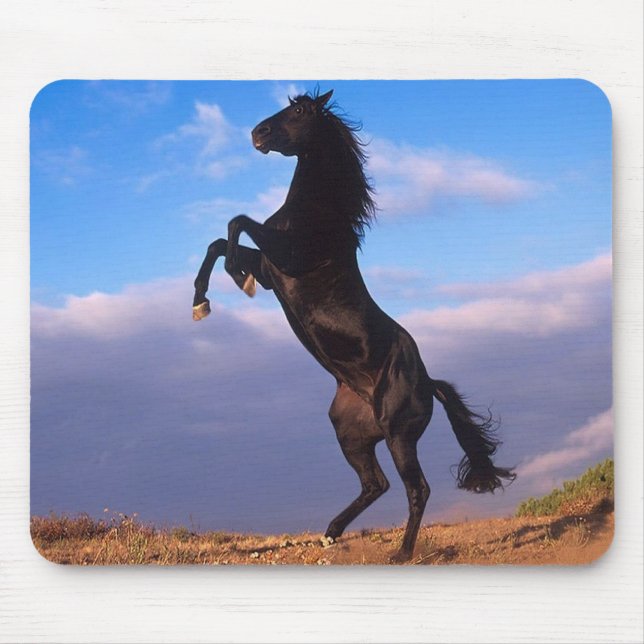 Schwarzer Stallion Mousepad (Vorne)