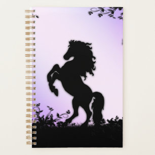 Schwarzer Stallion Planer