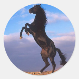 Schwarzer Stallion Runder Aufkleber
