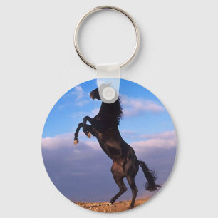 Schwarzer Stallion Schlüsselanhänger