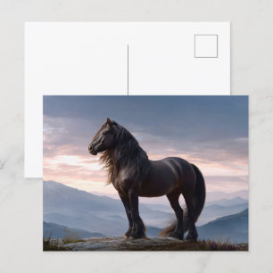 Schwarzer Stallion Wildhornberg Postkarte