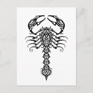 Schwarzer Stamm-Skorpion auf Weiß Postkarte