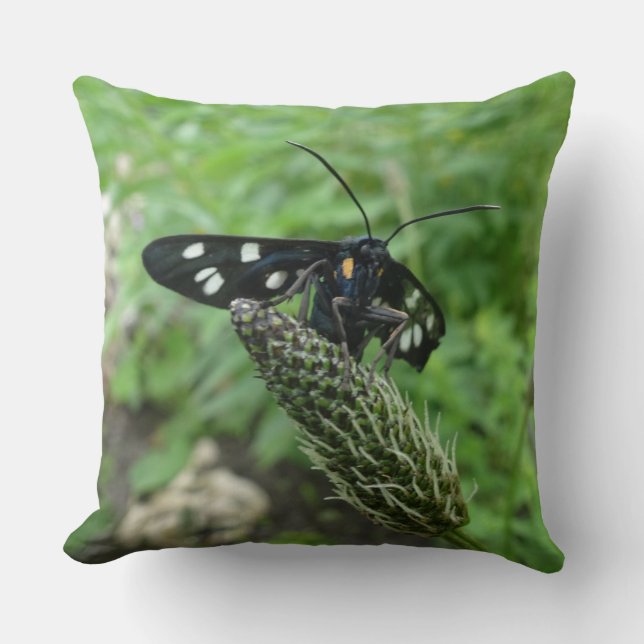 Schwarzer Tropenschmetterling-Kissen Kissen (Vorderseite)