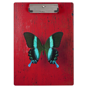 Schwarzer u. blauer Schmetterling Klemmbrett