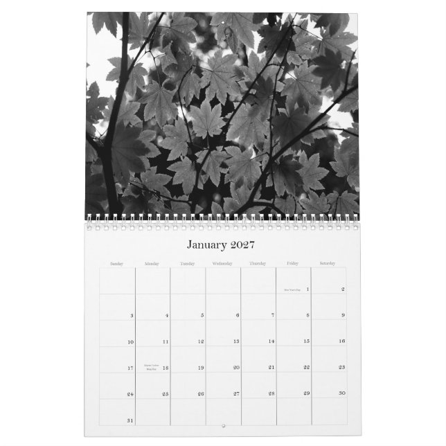 Schwarzer u. weißer Kalender der Fotografie-2011 (Jan 2027)