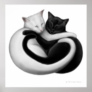 Schwarzer u. weißer Liebe-Katzen-Druck Poster