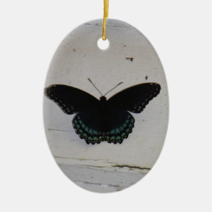 Schwarzer und blauer Schmetterling auf Weiß wusch Keramikornament