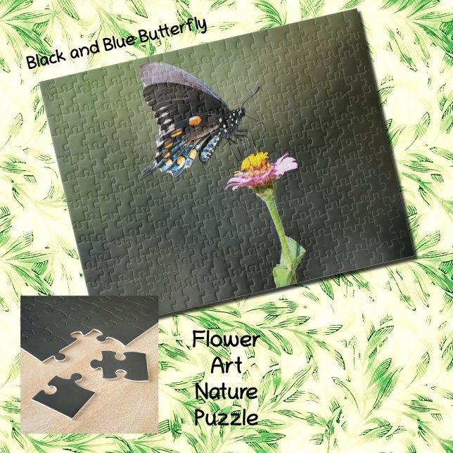 Schwarzer und Blauer Schmetterling und Blume Natur (A black and blue Swallowtail butterfly on a Pink Zinnia flower as a fun puzzle.)